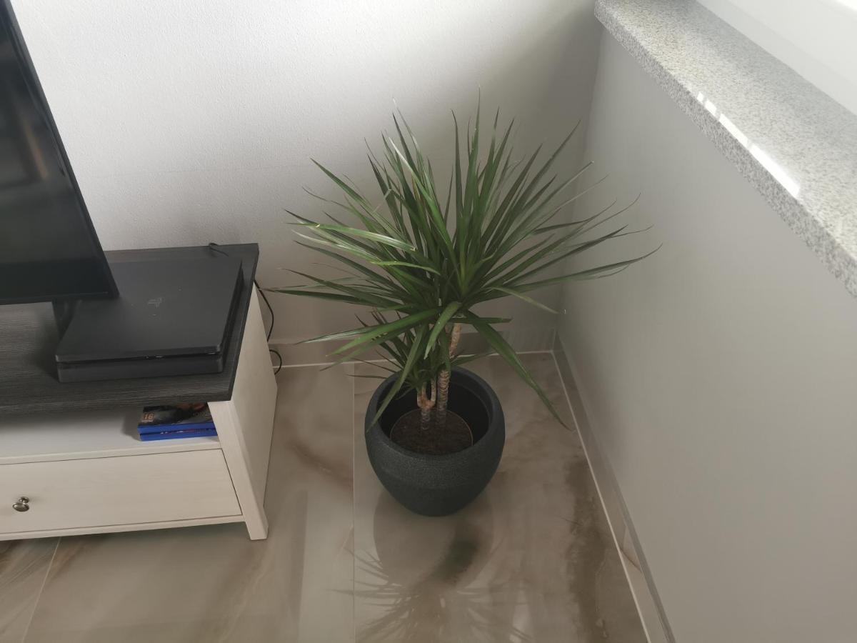 Apartment Luki Povile Eksteriør billede